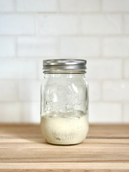 Kit de démarrage pour levain